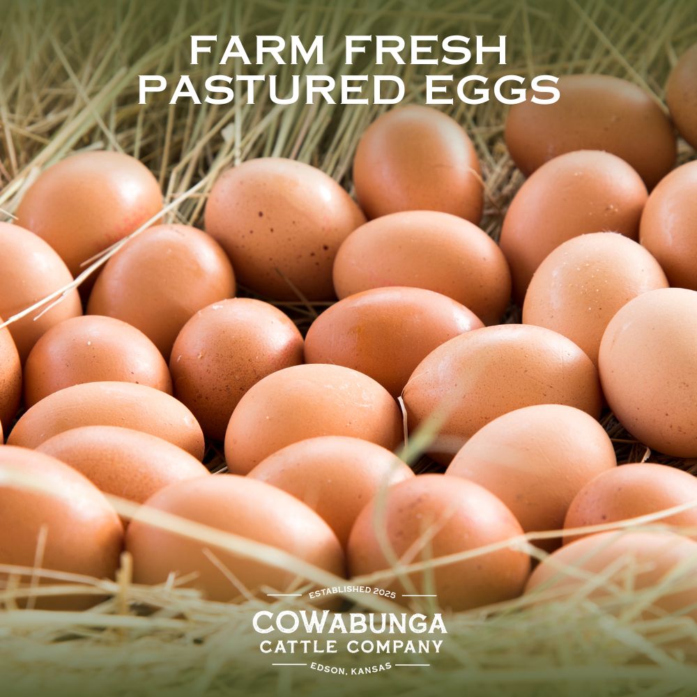 Farm Fresh Pastured Eggs