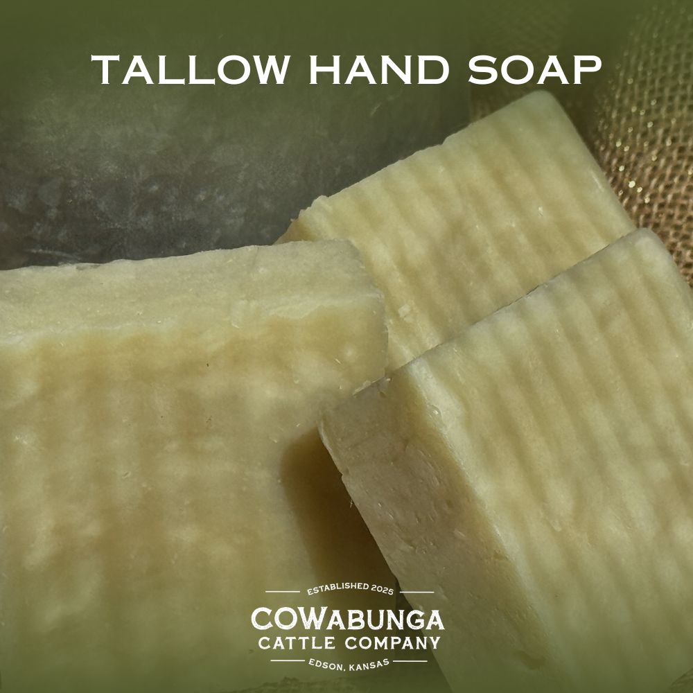 Tallow Hand Soap