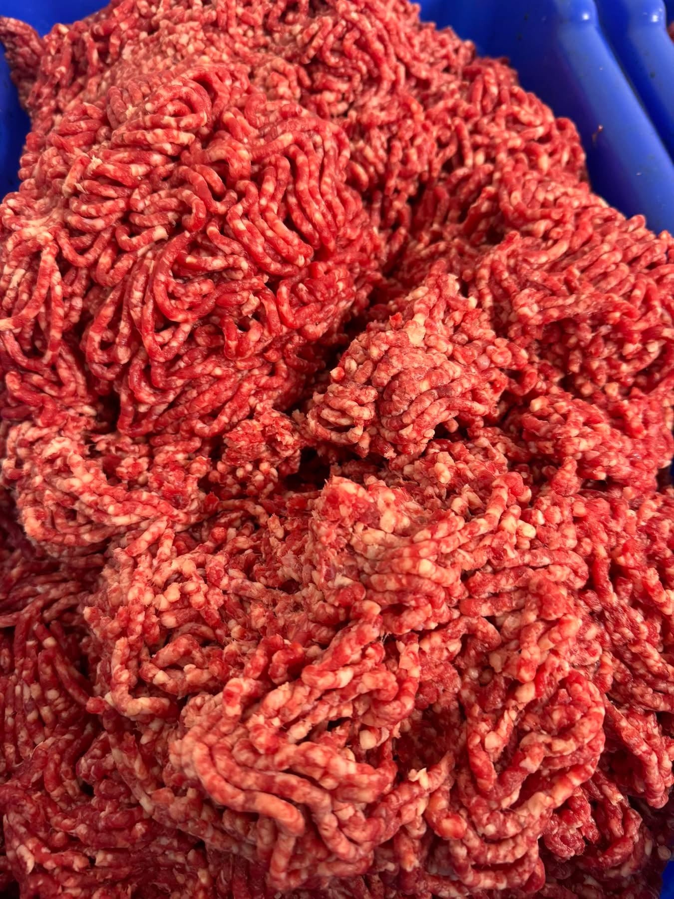 5 lbs Ground Beef