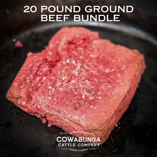 20 lb Ground Beef Bundle - 90%+ lean