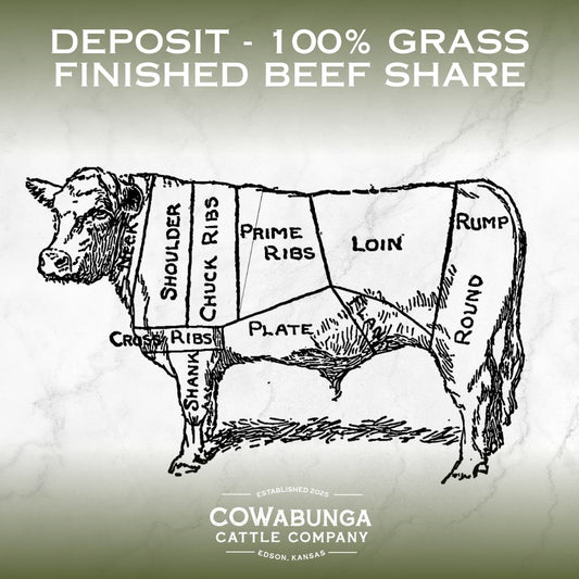 Deposit - 100% Grass Finished Beef Share